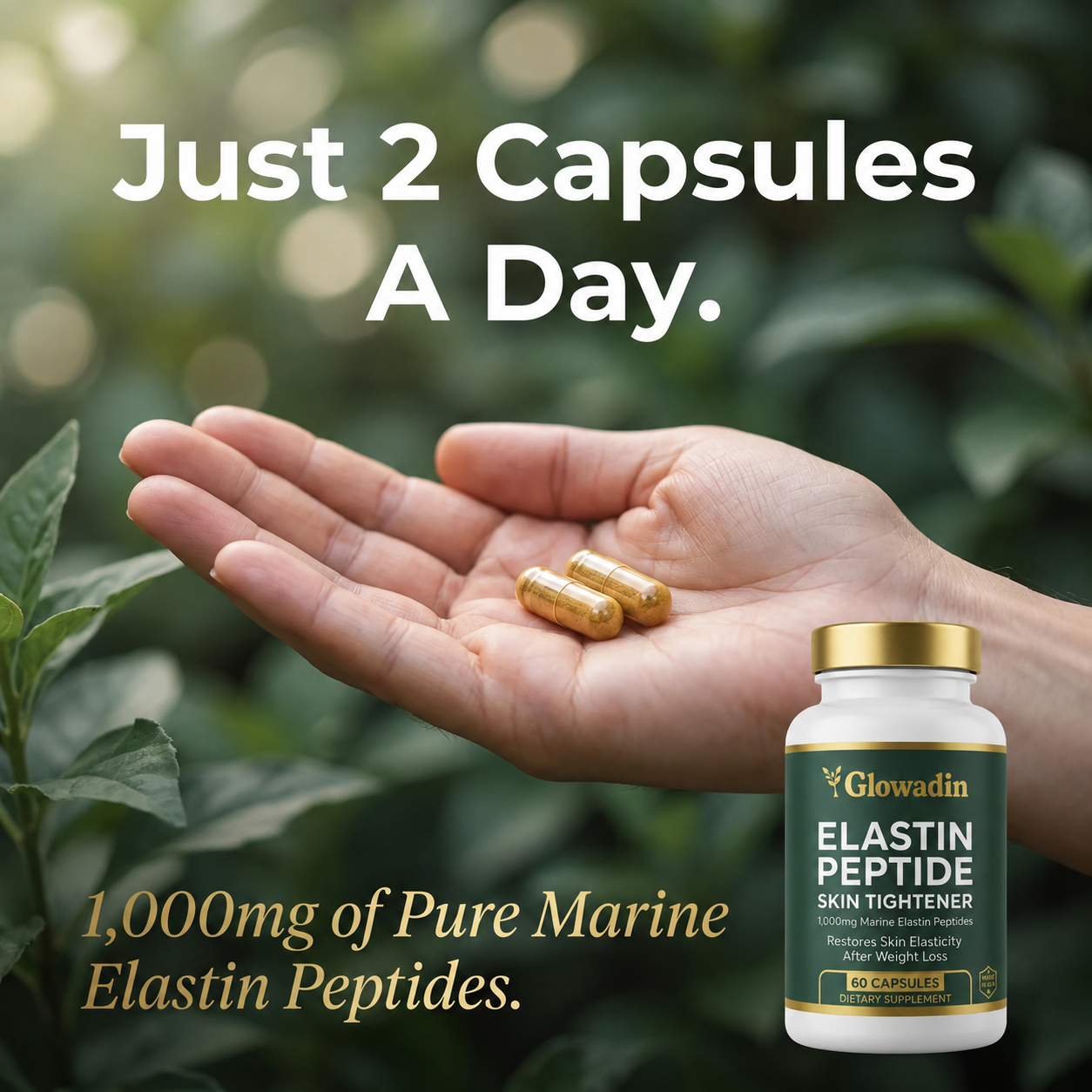 Elastin Peptide Skin Tightening Formula